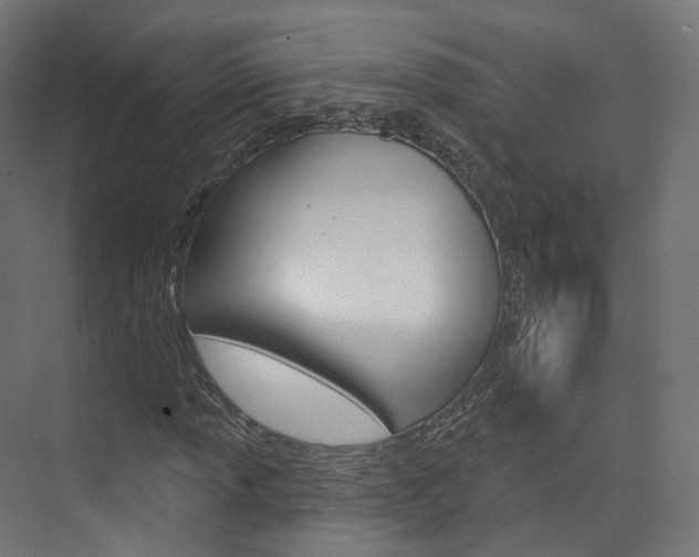 X0000074241013200608250836