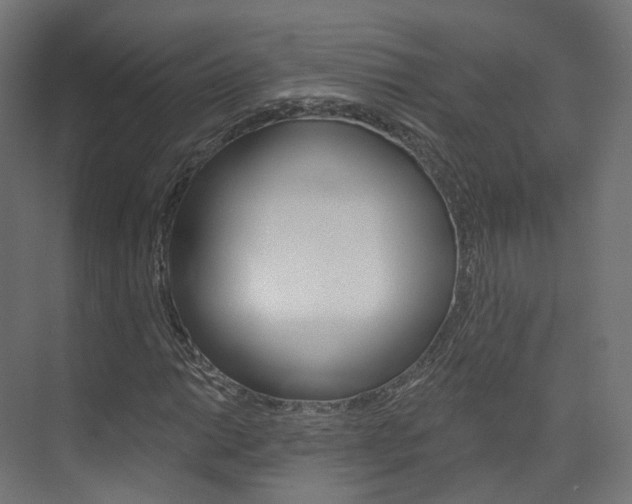 X0000074241014200608250836
