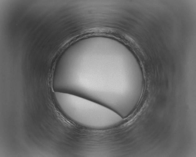 X0000074241017200608250836