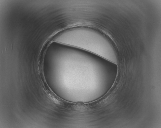 X0000074241018200608250836