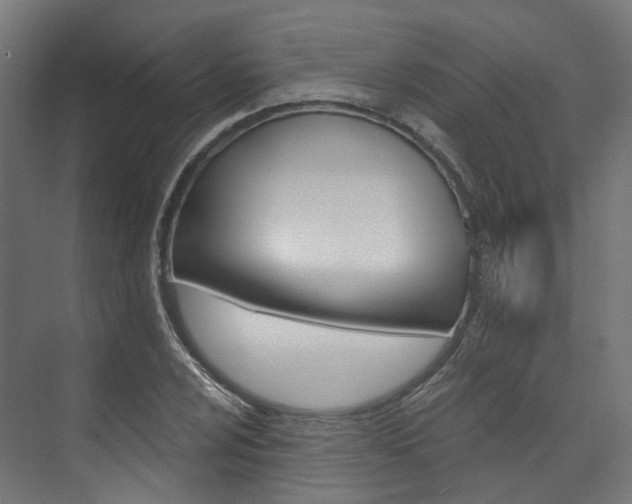 X0000074241024200608250836