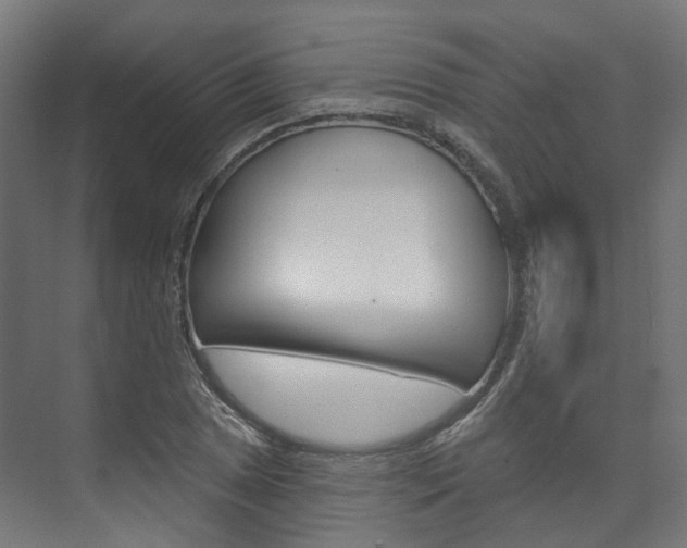 X0000074241025200608250837