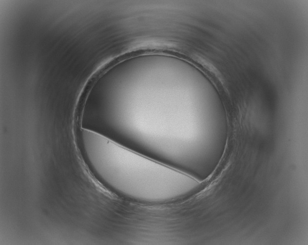 X0000074241029200608250837