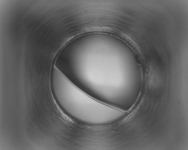 X0000074241033200608250837