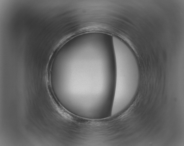 X0000074241034200608250837