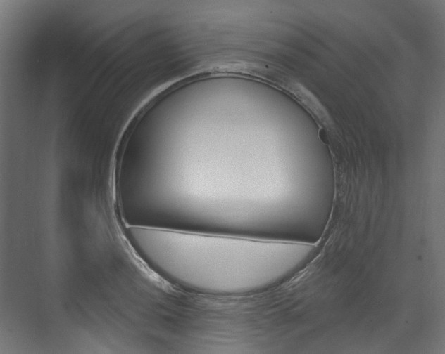 X0000074241036200608250837