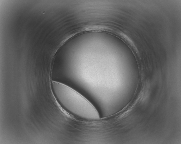 X0000074241041200608250837