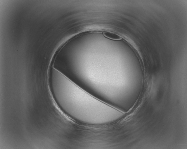 X0000074241045200608250837