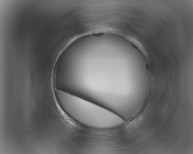 X0000074241047200608250837