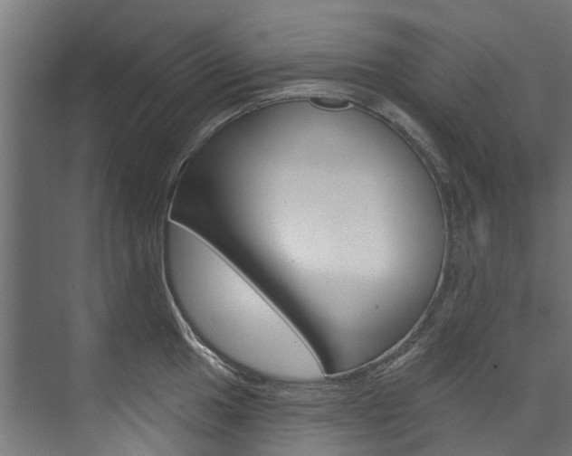 X0000074241049200608250837