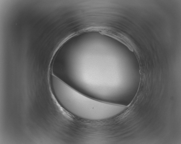 X0000074241050200608250837