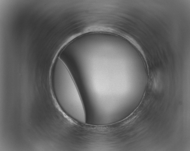 X0000074241053200608250837