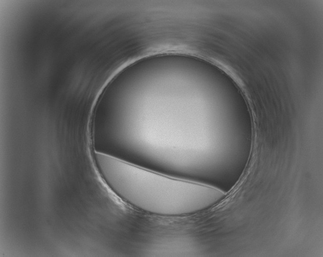 X0000074241056200608250837