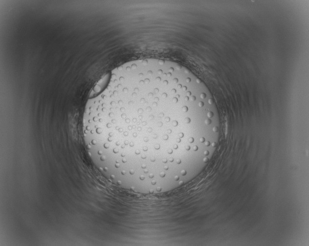 X0000074241059200608250836
