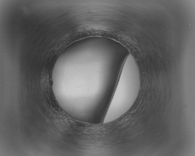 X0000074241061200608250836