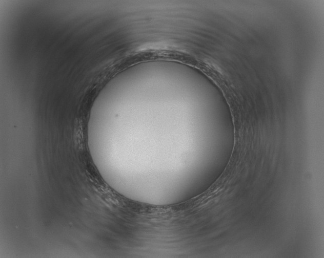 X0000074241062200608250836