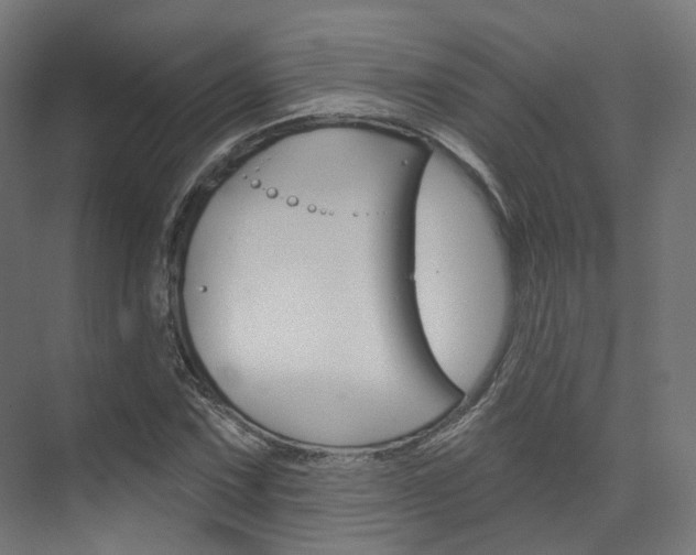 X0000074241067200608250836