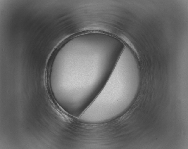 X0000074241076200608250836