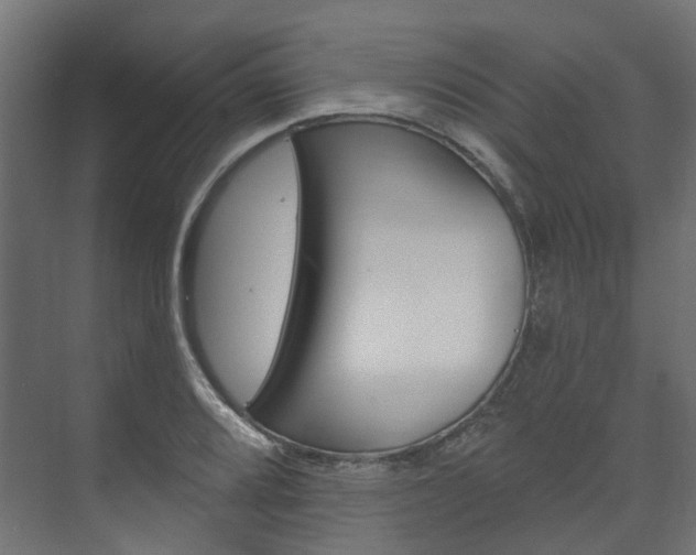X0000074241080200608250836