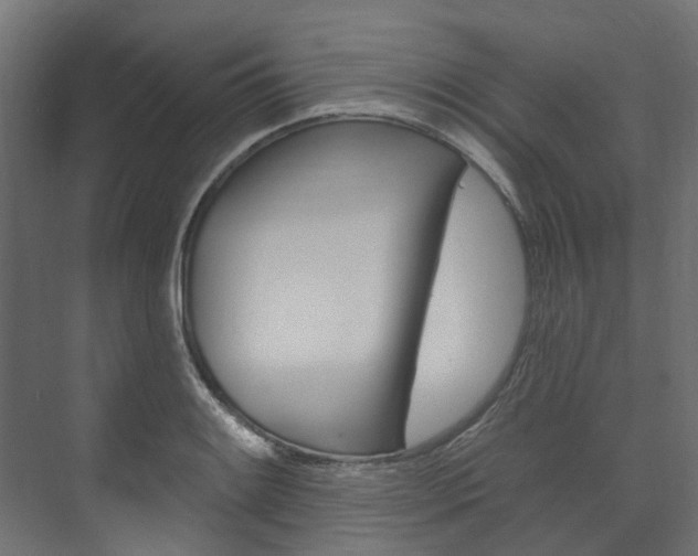 X0000074241084200608250836