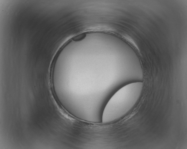 X0000074241087200608250836
