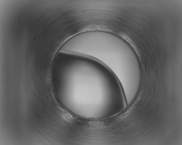 X0000074241089200608250836