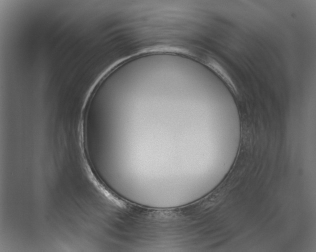 X0000074241092200608250836