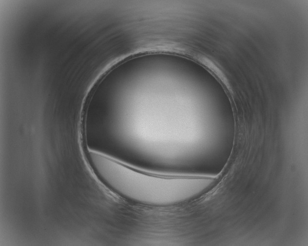 X0000074241093200608250836