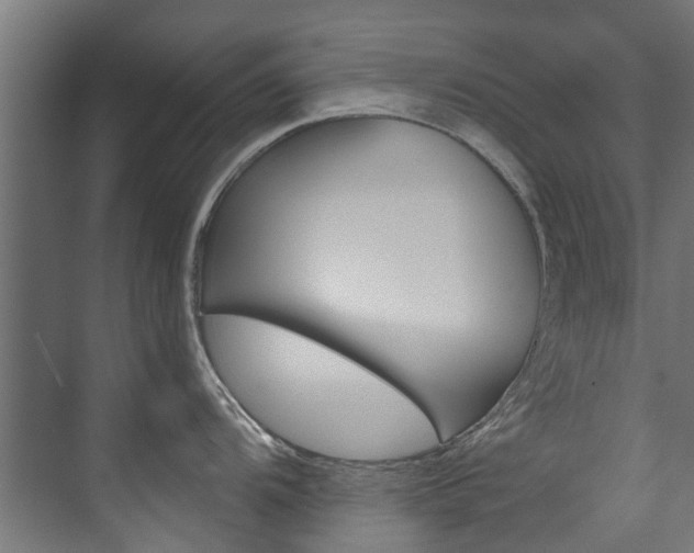 X0000074241104200608250835