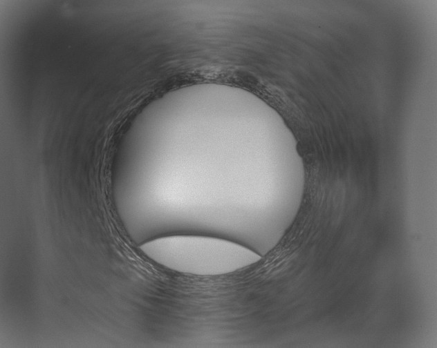 X0000074241105200608250835