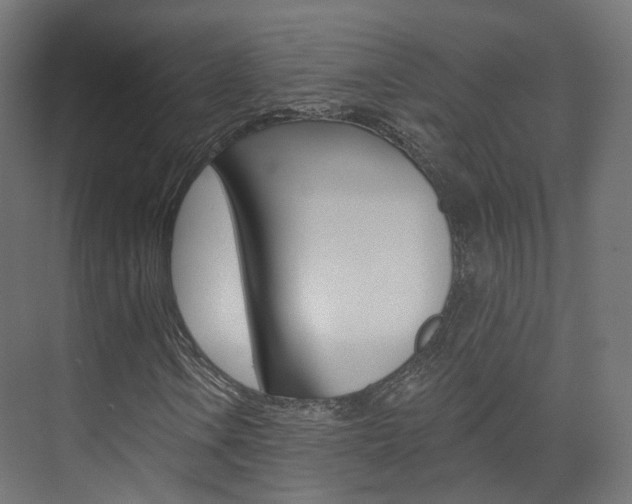 X0000074241106200608250835