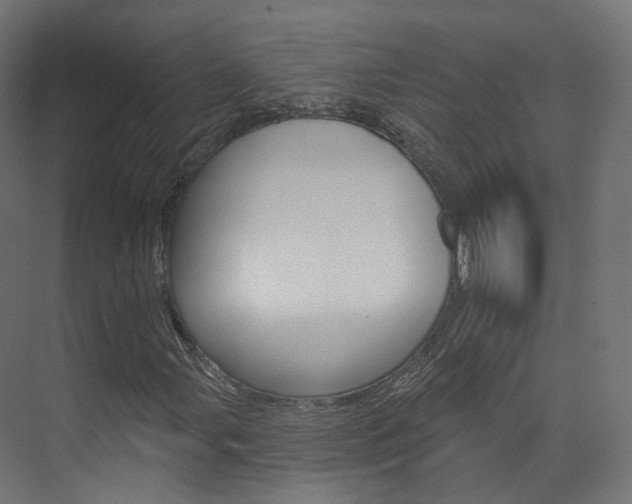 X0000074241107200608250835