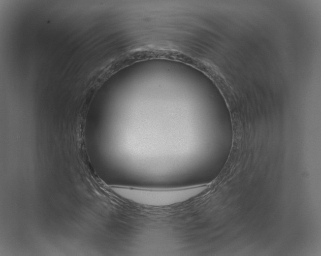 X0000074241110200608250835