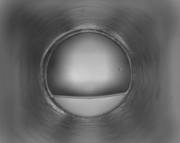 X0000074241116200608250835