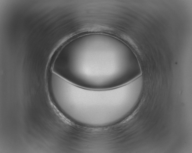 X0000074241122200608250835