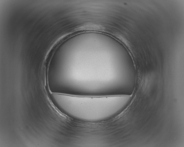 X0000074241123200608250835