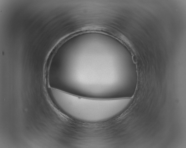 X0000074241124200608250835