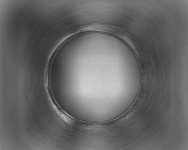 X0000074241131200608250835