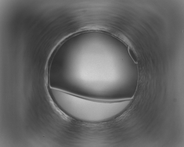 X0000074241132200608250835