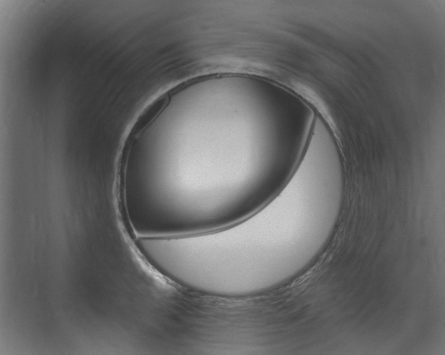 X0000074241136200608250835