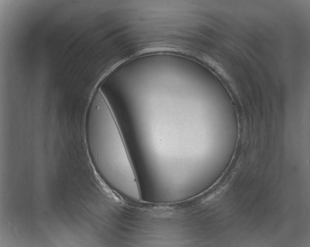 X0000074241137200608250835