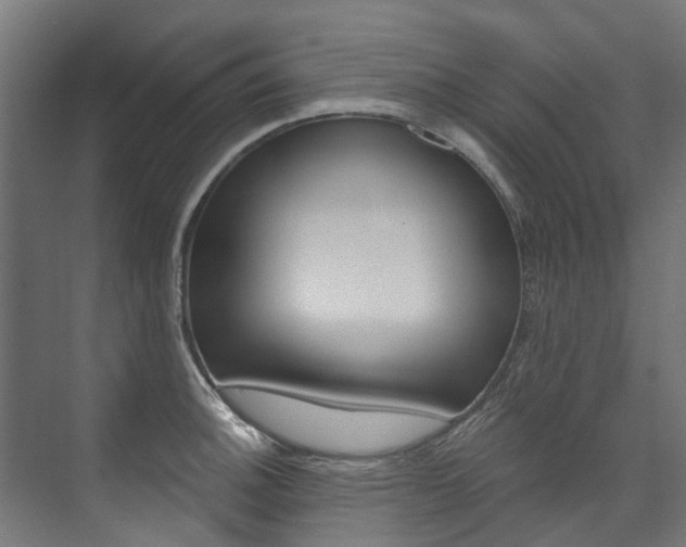 X0000074241140200608250835