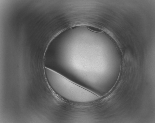 X0000074241145200608250835