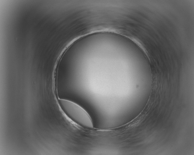 X0000074241151200608250835