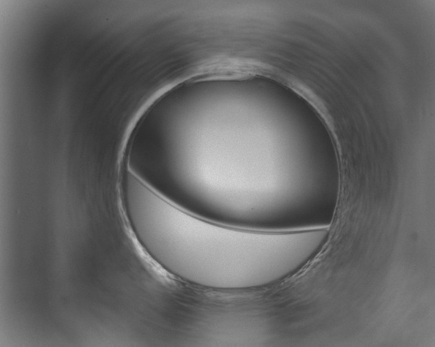X0000074241152200608250835