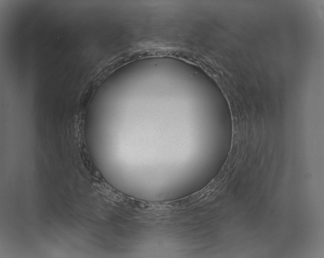 X0000074241157200608250835