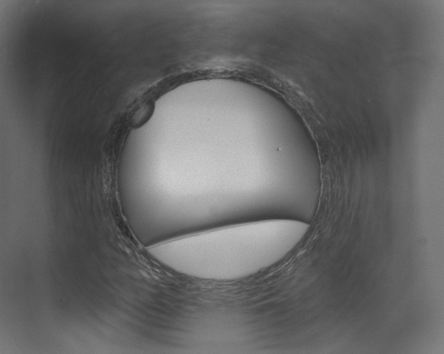 X0000074241158200608250835