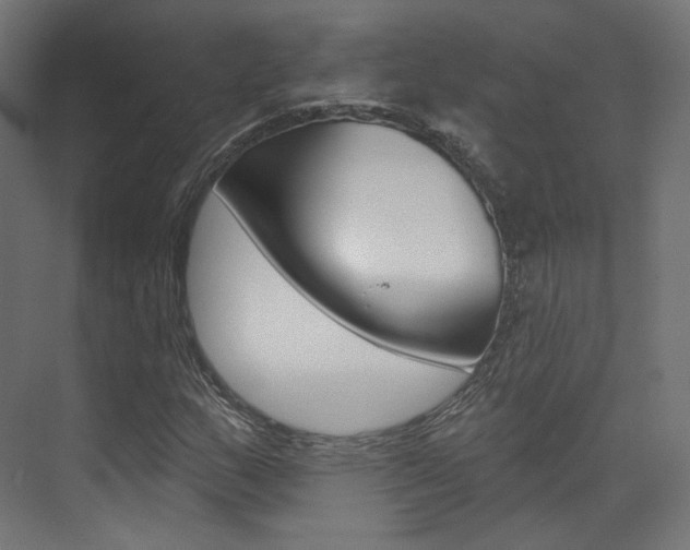 X0000074241159200608250835
