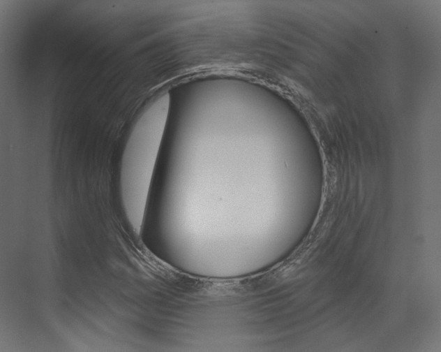 X0000074241161200608250834