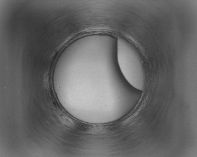 X0000074241162200608250834